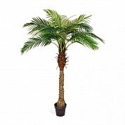 Финиковая пальма Новая 160 см  Treez Collection 10.071405/5